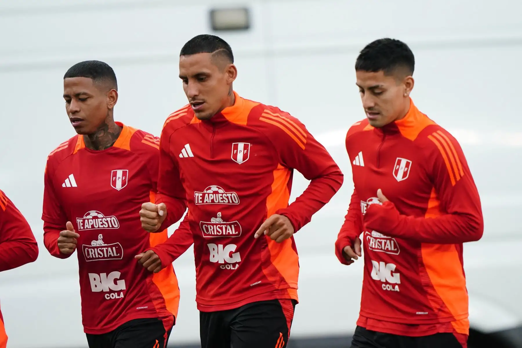 El seleccionador de Chile, Ricardo Gareca, no ha llamado a otros jugadores para suplir las ausencias. Las últimas incorporaciones de emergencia fueron el lunes con los llamados a Arturo Vidal y Erick Wiemberg, ambos del actual campeón de la liga chilena Colo Colo. Foto: ANDINA/FPF