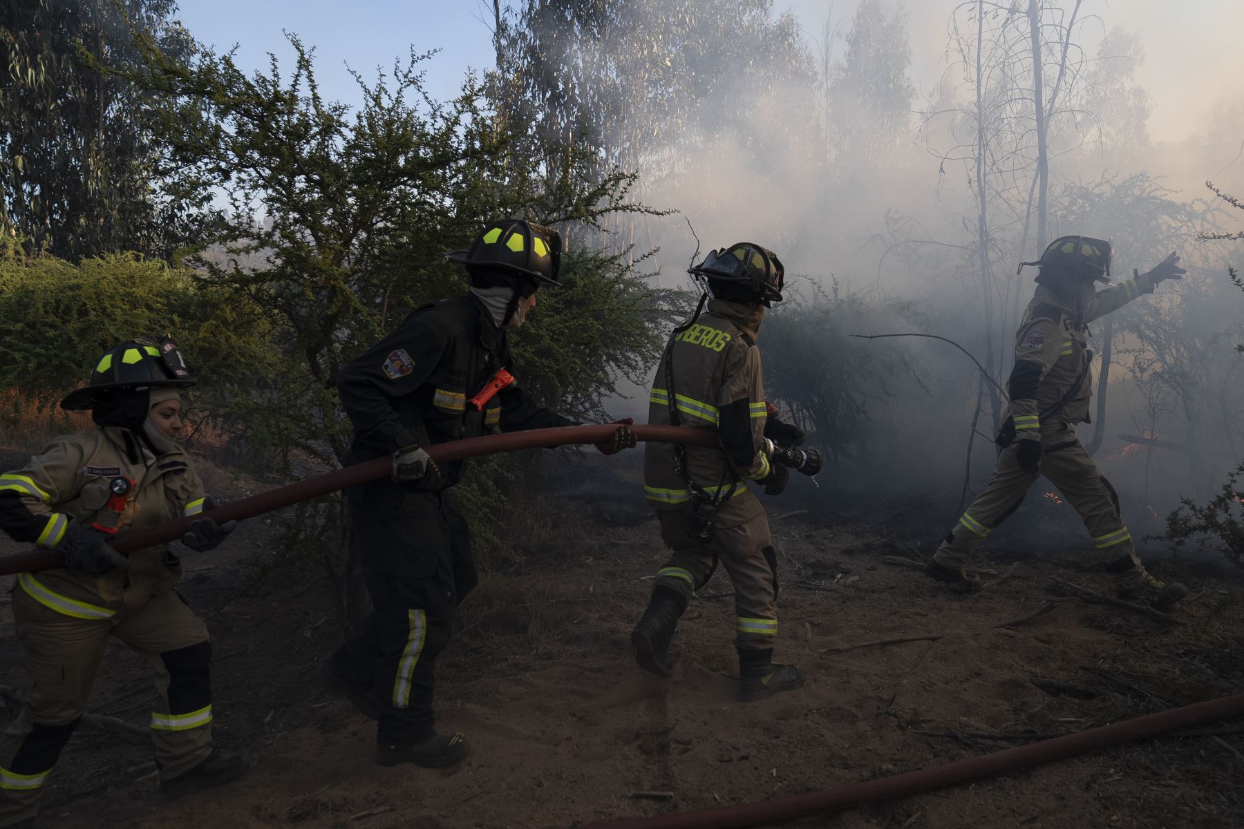 Bomberos chilenos trabajan para extinguir el fuego en la localidad de Quilpué. Foto: EFE