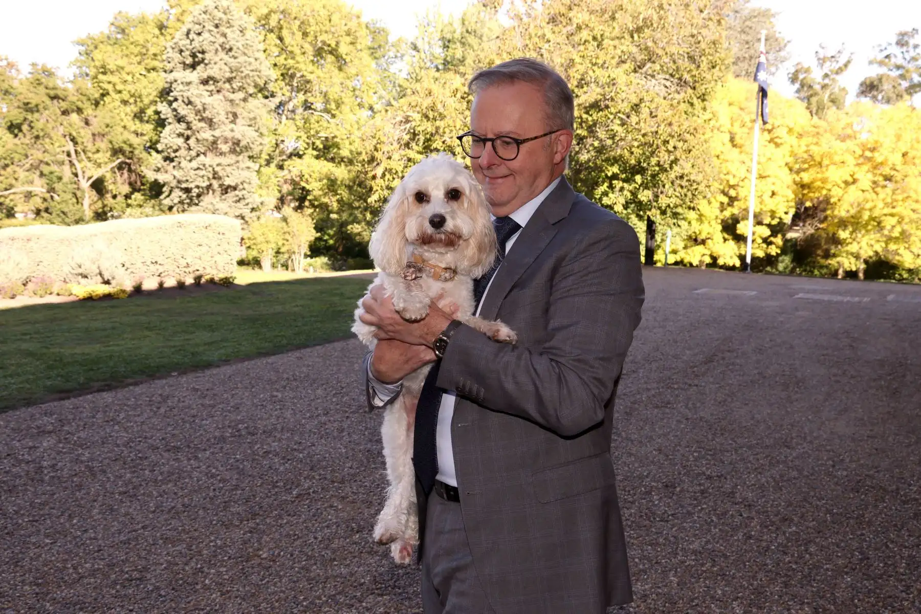 El primer ministro australiano, Anthony Albanese, lleva a su perro llamado ëToToí afuera de The Lodge en Canberra el 21 de marzo de 2024. AFP