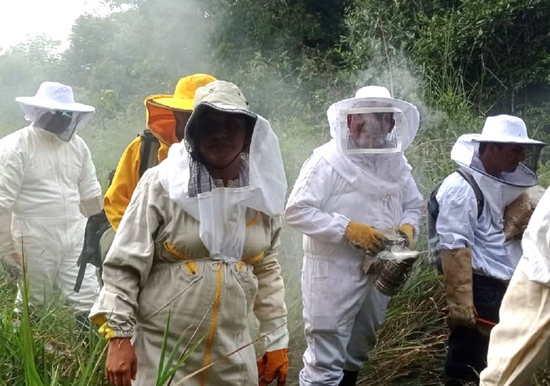 Apicultores de Amazonas, Áncash, Cajamarca y Lima fueron capacitados en prácticas sostenibles en la crianza de abejas por productores de la región San Martín. ANDINA/Difusión