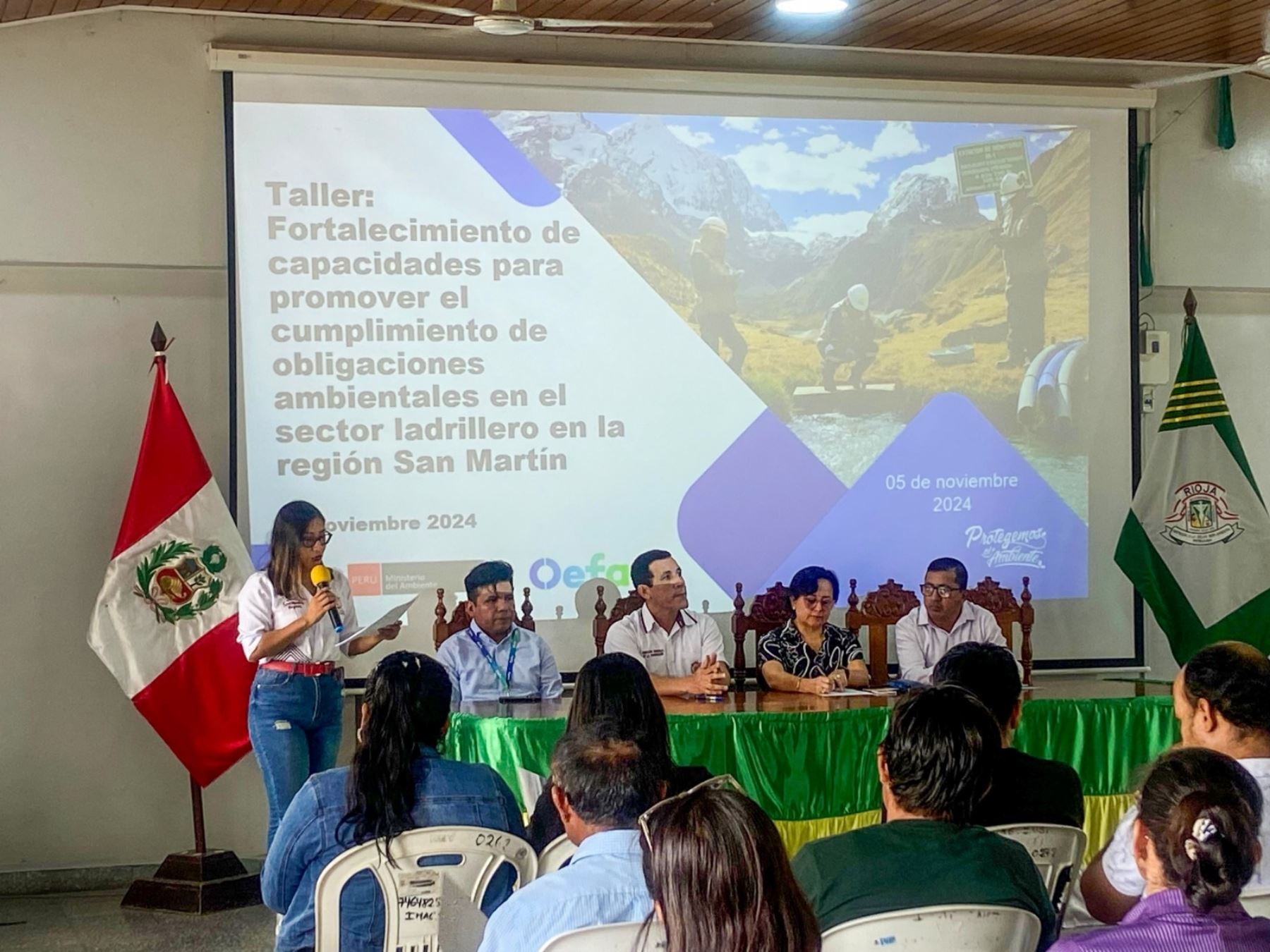 Representantes de empresas ladrilleras de Rioja y Moyobamba, región San Martín, conocieron las experiencias exitosas de Colombia y El Salvador para reducir el impacto ambiental de dicha actividad. ANDINA/Difusión