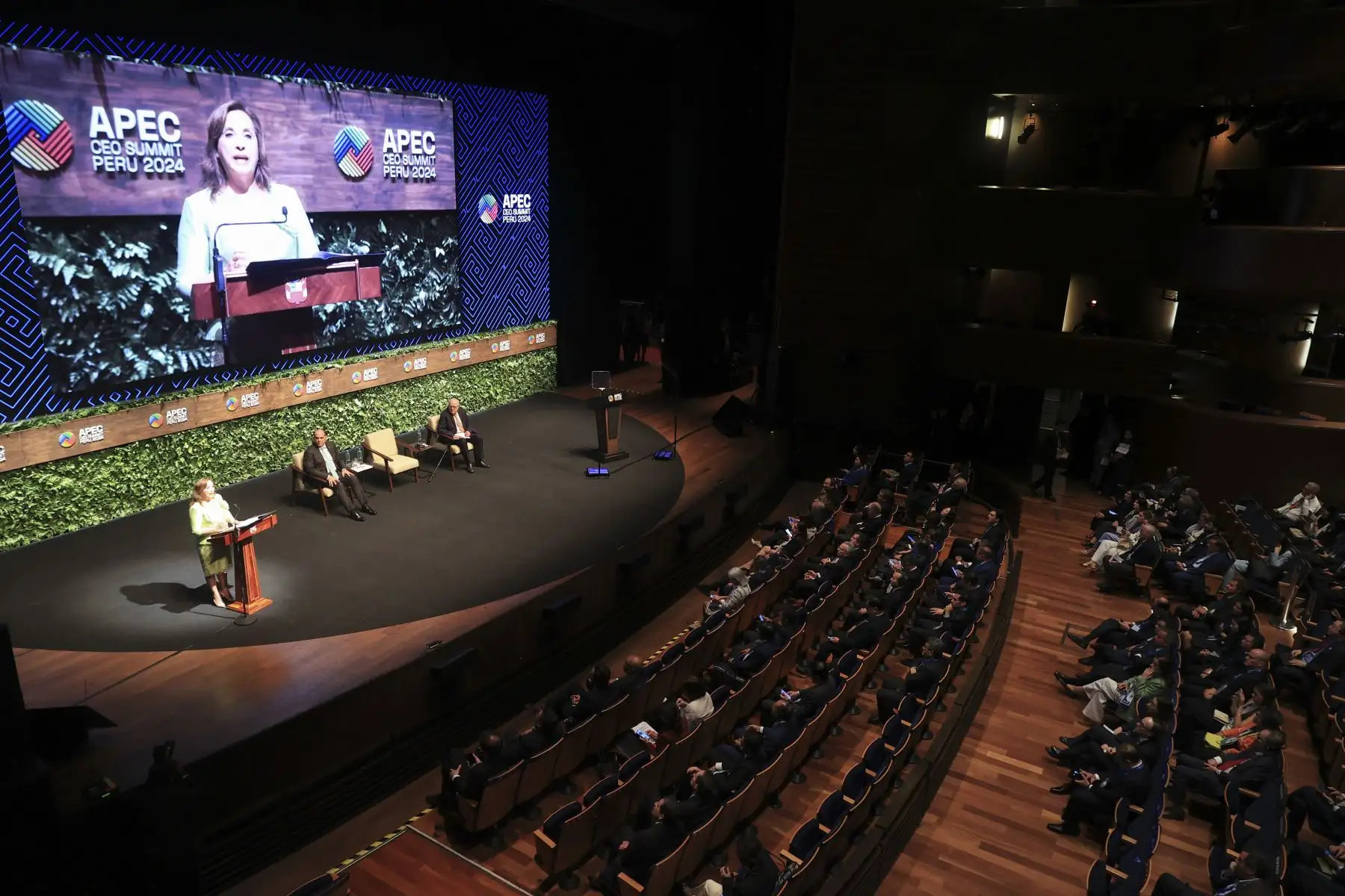 La presidenta Dina Boluarte participó en la ceremonia de apertura del APEC CEO Summit 2024. Foto: ANDINA/Jhonel Rodríguez Robles