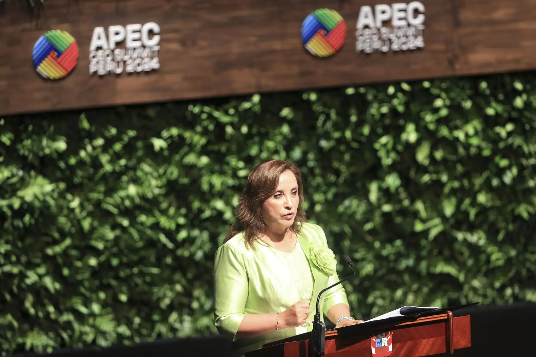 La presidenta Dina Boluarte participó en la ceremonia de apertura del APEC CEO Summit 2024. Foto: ANDINA/Jhonel Rodríguez Robles