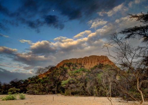 En los próximos días el Santuario Histórico Bosque de Pómac, ubicado en la región Lambayeque, recibiría la distinción Jerarquía 4 que otorga el Mincetur a los atractivos turísticos nacionales de importancia mundial. ANDINA/Difusión