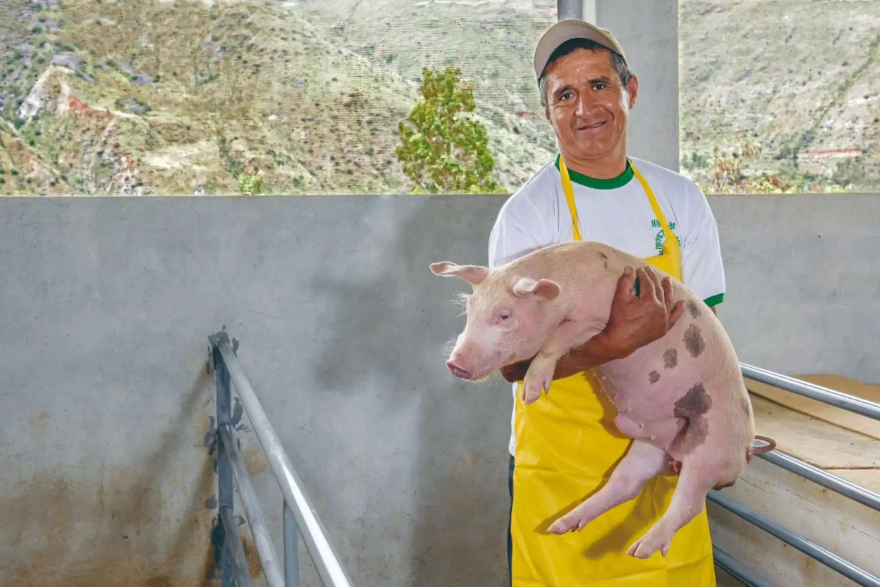 La fiebre aftosa ataca a los bovinos y porcinos entre otros y causa grandes perjuicios económicos. ANDINA/Difusión
