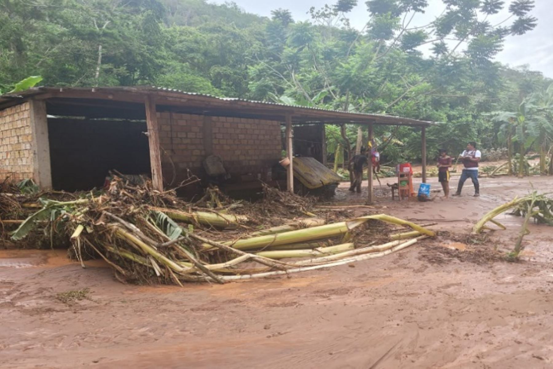 El alcalde distrital de Cuñumbuque, Salomón Díaz Saavedra, viene gestionando la solicitud de Bienes de Ayuda Alimentaria (B.A.H), ante el burgomaestre provincial de Lamas, May Díaz Pérez.