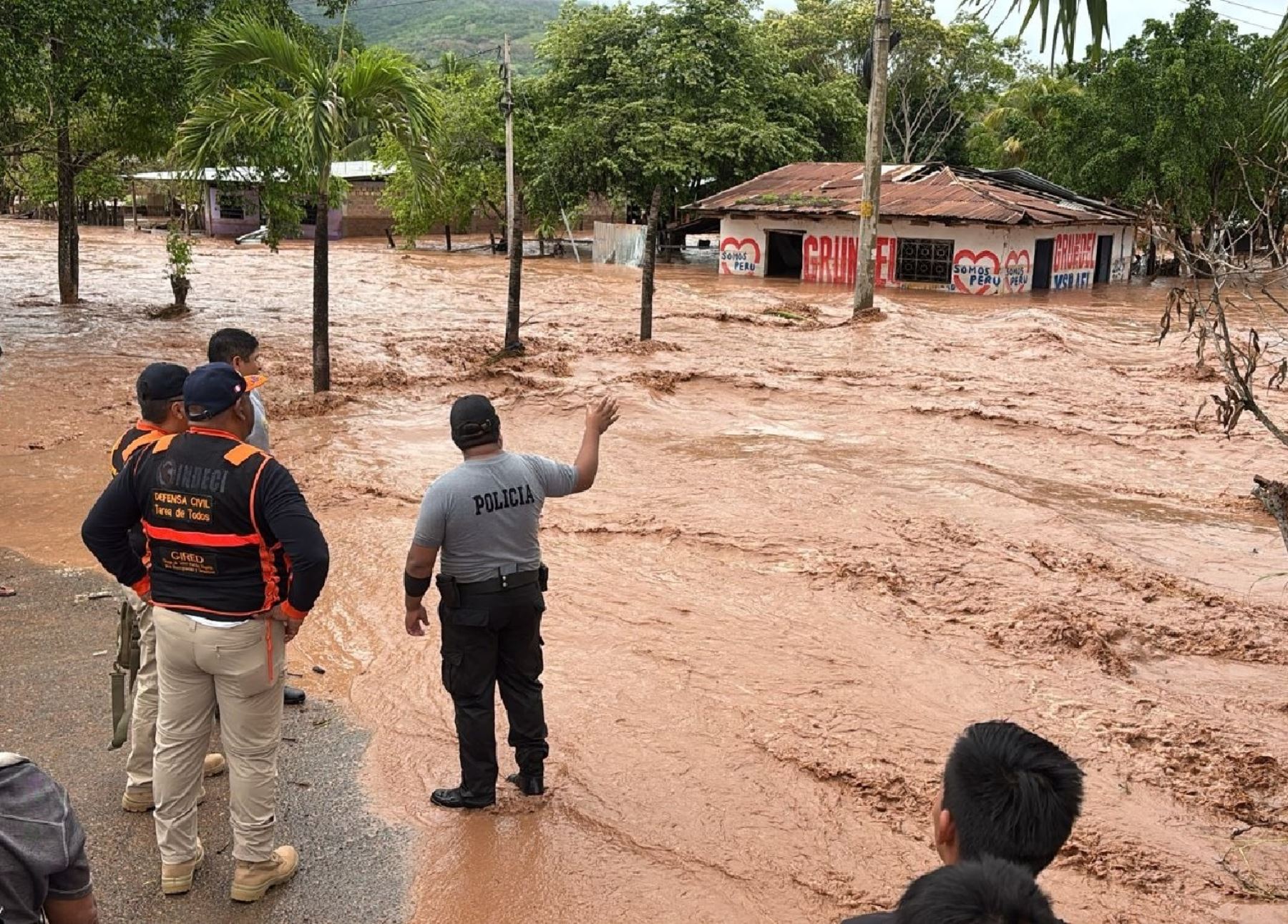 Intensas lluvias han ocasionado severos daños en la provincia de Picota, región San Martín. Foto: ANDINA/Difusión