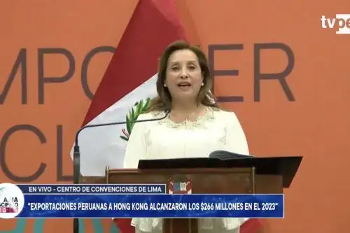 Foto: captura TV.