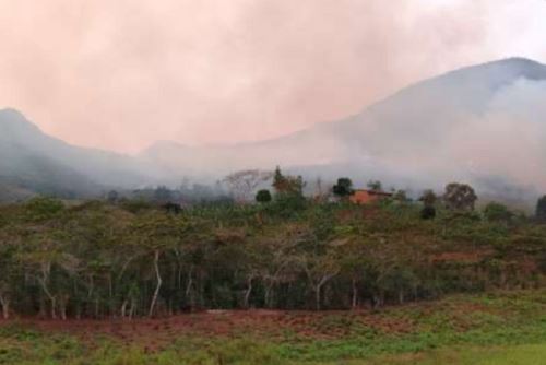 Recuerde: quemar los cerros y bosques es penado con 4 a 12 años de prisión.