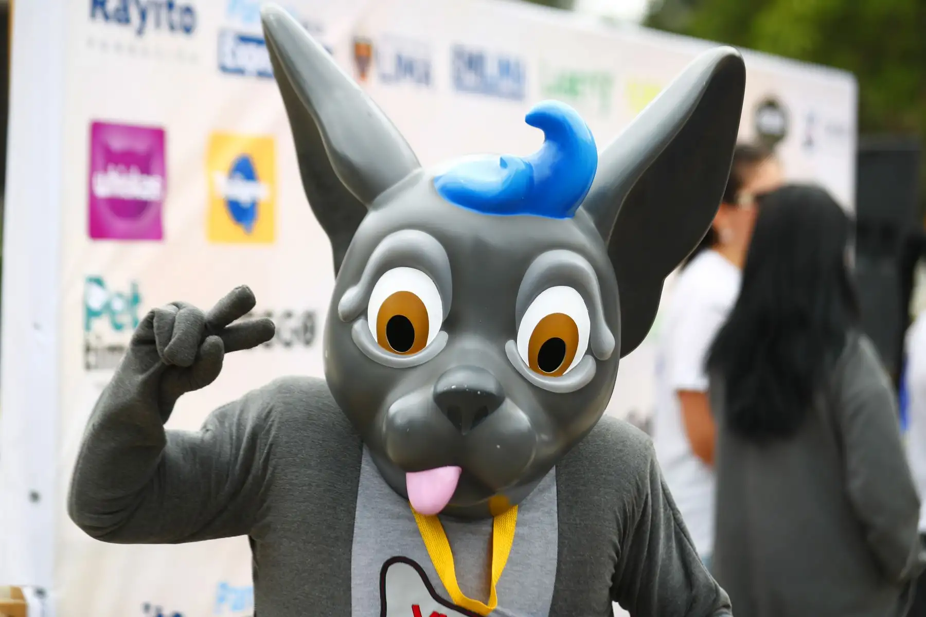 Con la participación de artistas de la farándula e influencers, se presentó el Adoptatón 2024, gran campaña de adopción organizada por la Fundación Rayito y la Municipalidad de Lima, con el fin de encontrarle un hogar a unos 100 perros y gatos rescatados de la calle, y que se realizará en el Parque de la Exposición el sábado 23 y domingo 24 de noviembre. Foto: ANDINA/Daniel Bracamonte