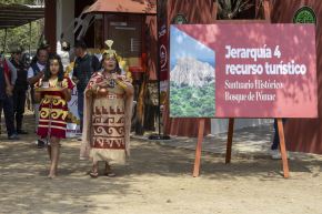 El santuario histórico Bosque de Pómac fue certificado como atractivo de importancia nacional y de gran relevancia para el mercado turístico mundial. Foto: Minam