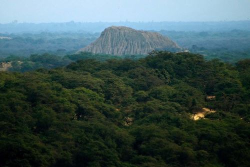 El Santuario Histórico Bosque de Pómac de Lambayeque obtuvo la máxima distinción para un destino turístico del Perú