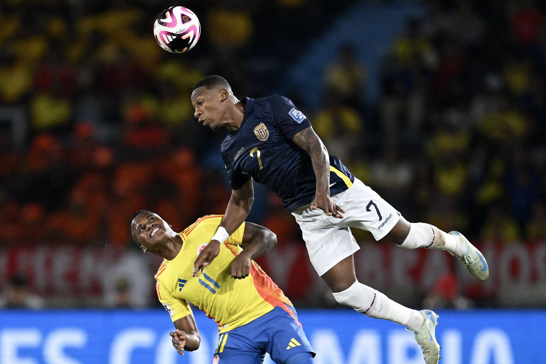 Con este golpe sobre la mesa para cerrar el año, Ecuador supera en la tabla a Colombia y se ubica en la tercera posición, a falta de que termine el encuentro entre Brasil, quinto, y Uruguay, segundo.
Foto: AFP