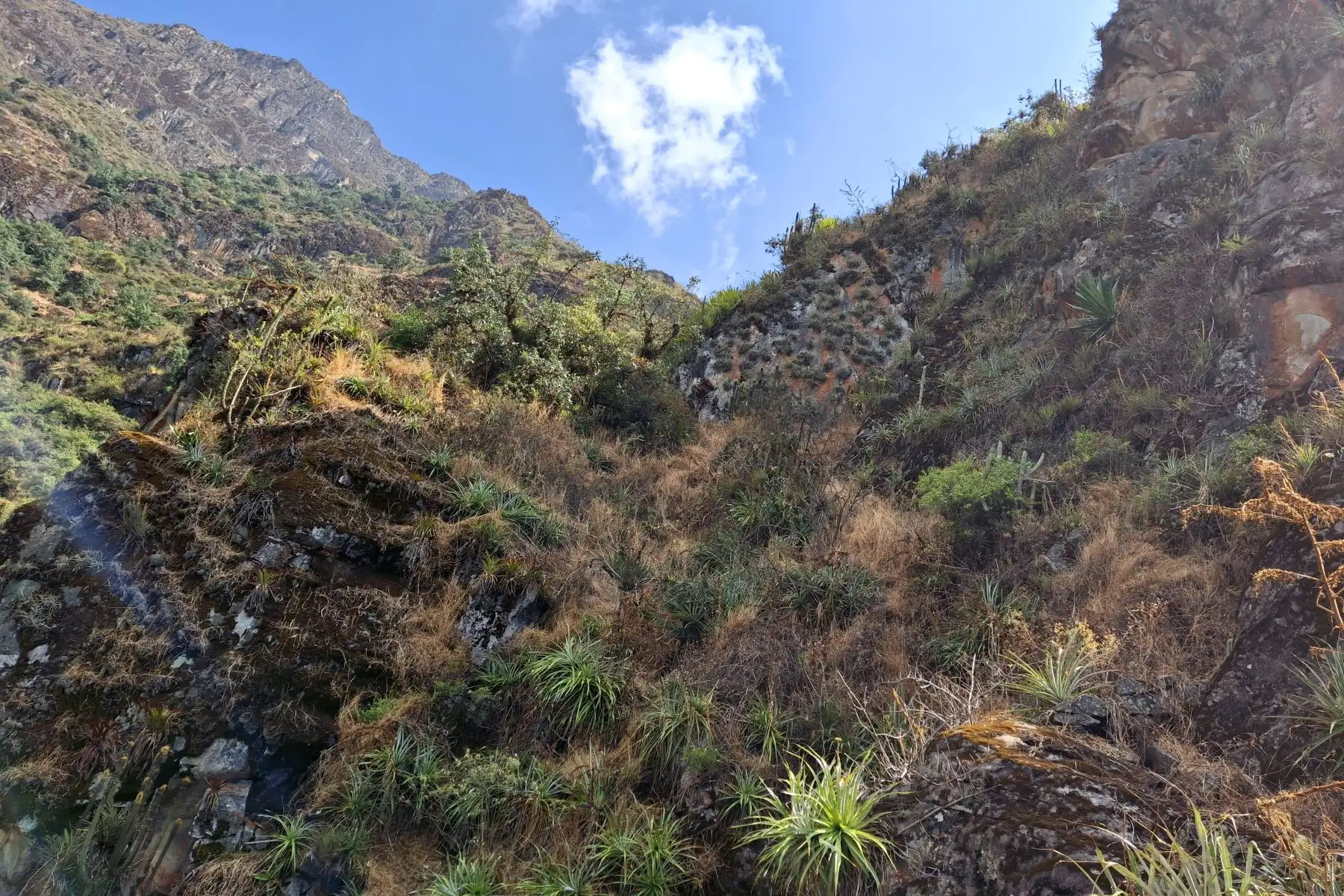 En el corazón de la sierra de la región La Libertad, a tan solo cinco horas de Trujillo, yace un lugar ancestral conocido como "Pueblo de Gentiles", misterioso nombre que evoca imágenes de antiguas civilizaciones y despierta la curiosidad de los aventureros. Foto: Luis Puell