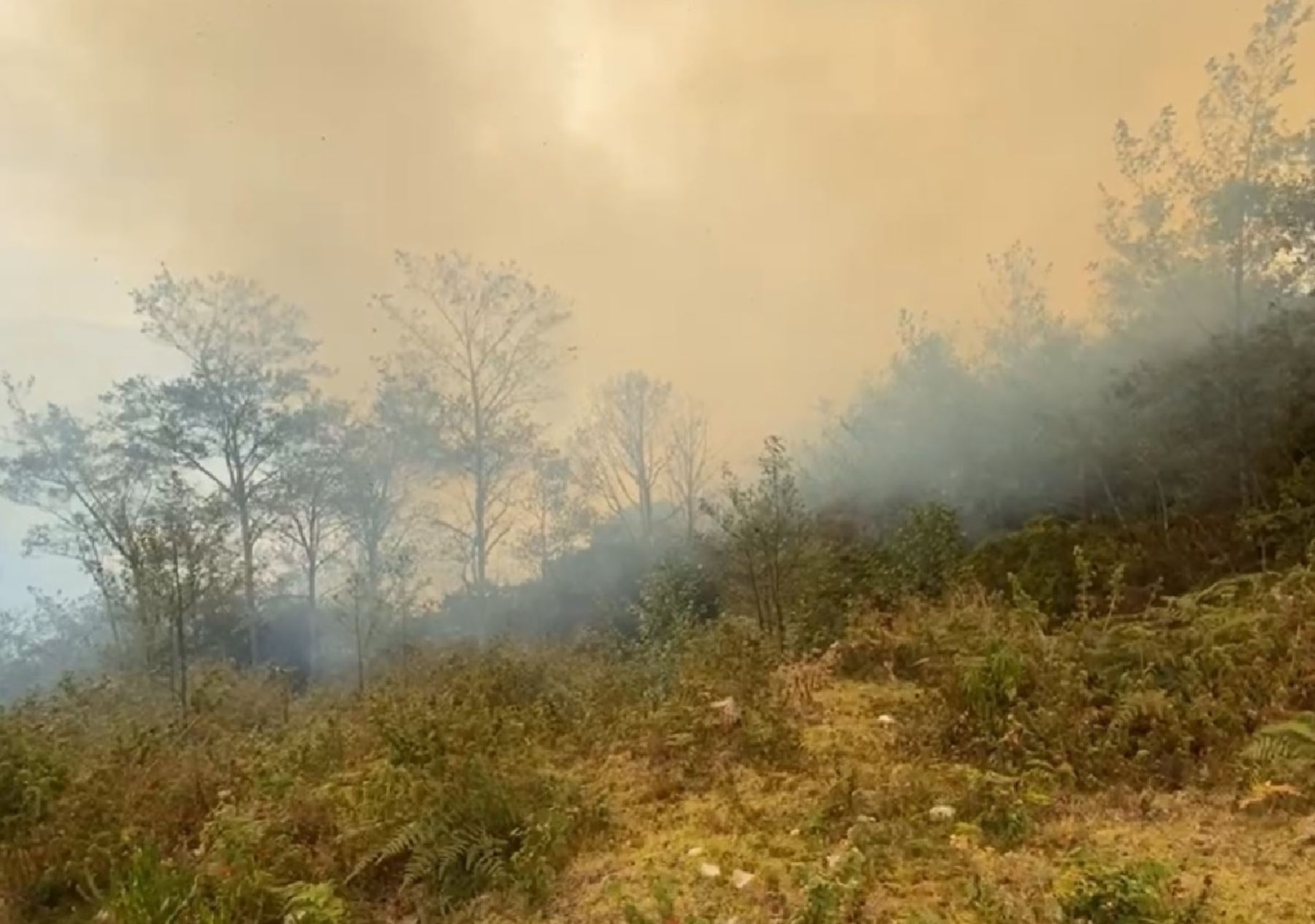 Una persona murió a causa de un incendio forestal registrado en el distrito de Yamango, en la provincia de Morropón, en la sierra de Piura. ANDINA/Difusión