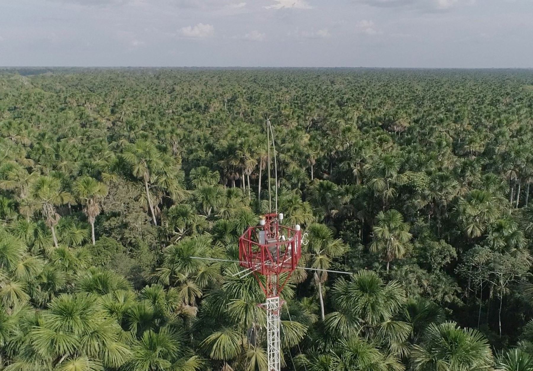 Investigadores del IIAP realizan un estudio para determinar los flujos de gases de efecto invernadero en un bosque inundable de Loreto. El objetivo es determinar el comportamiento ambiental de los aguajales y su aporte en la captura de dióxido de carbono, resaltó el Minam.