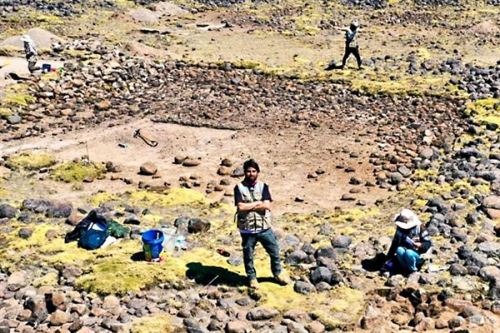 Una investigación arqueológica, dirigida por el arqueólogo Nils Sulca, descubrió en Ayacucho evidencias de una ruta de la alpaca que se creó en la cultura Wari. El hallazgo se produjo en el sitio Llaqtapampa. ANDINA/Difusión