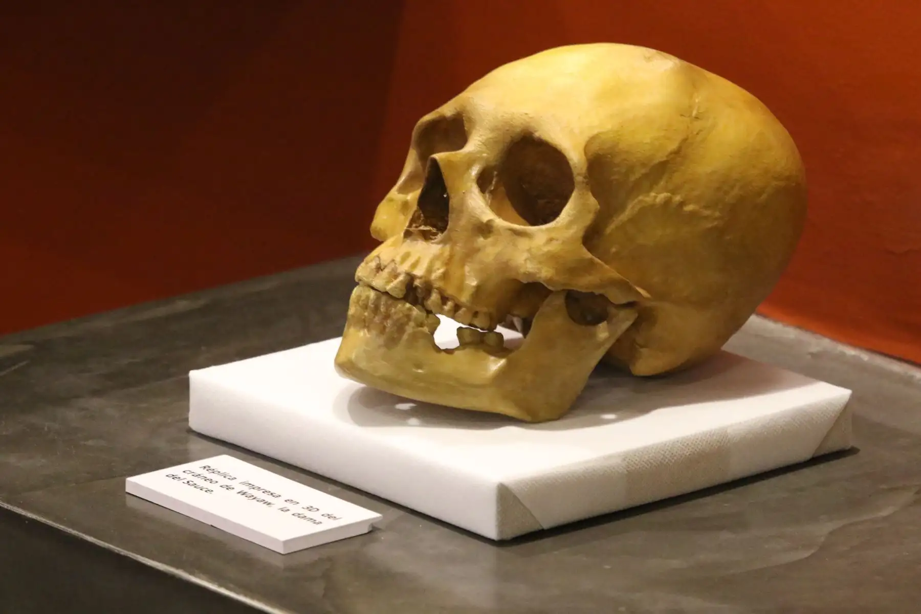 Esta iniciativa cultural se desarrollará desde el 21 de noviembre del 2024 hasta el 17 de enero del 2025, en el Museo de la Identificación del Reniec (av. Bolivia 109, Cercado de Lima). La atención es de lunes a viernes, en los horarios de 9:00 a. m. hasta las 12:00 m. y desde las 2:30 p. m. hasta las 4:00 p. m. FOTO:ANDINA/Hector Vinces.