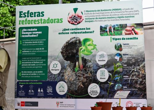 Minam pone en marcha plan para diseminar 1.5 millones de esferas reforestadoras para restaurar las áreas afectadas por incendios forestales en la Amazonía peruana. ANDINA/Difusión