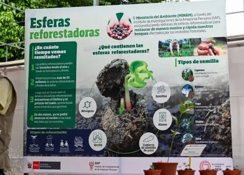 Minam pone en marcha plan para diseminar 1.5 millones de esferas reforestadoras para restaurar las áreas afectadas por incendios forestales en la Amazonía peruana. ANDINA/Difusión