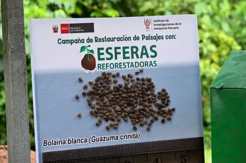 ANDINA/Difusión
