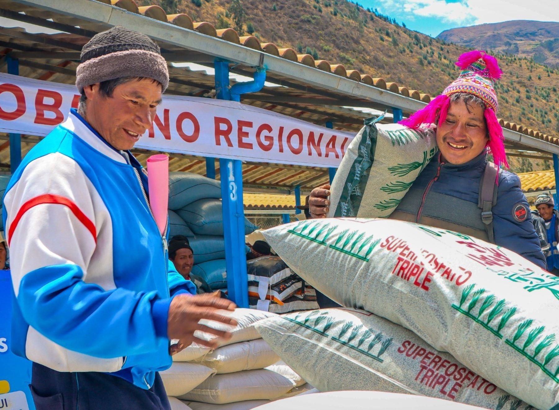 Productores agrarios de 36 distritos de ocho provincias de Cusco se beneficiarán con la entrega de 517 toneladas de semillas y fertilizantes para mejorar la producción de pastos. ANDINA/Difusión