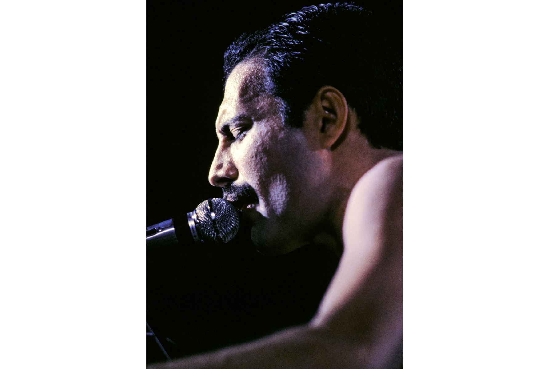 La estrella de rock británica Freddie Mercury, cantante de la banda de rock "Queen" actúa en el escenario durante un concierto en el Palais Omnisports de Paris Bercy (POPB) el 18 de septiembre de 1984.
Foto: AFP