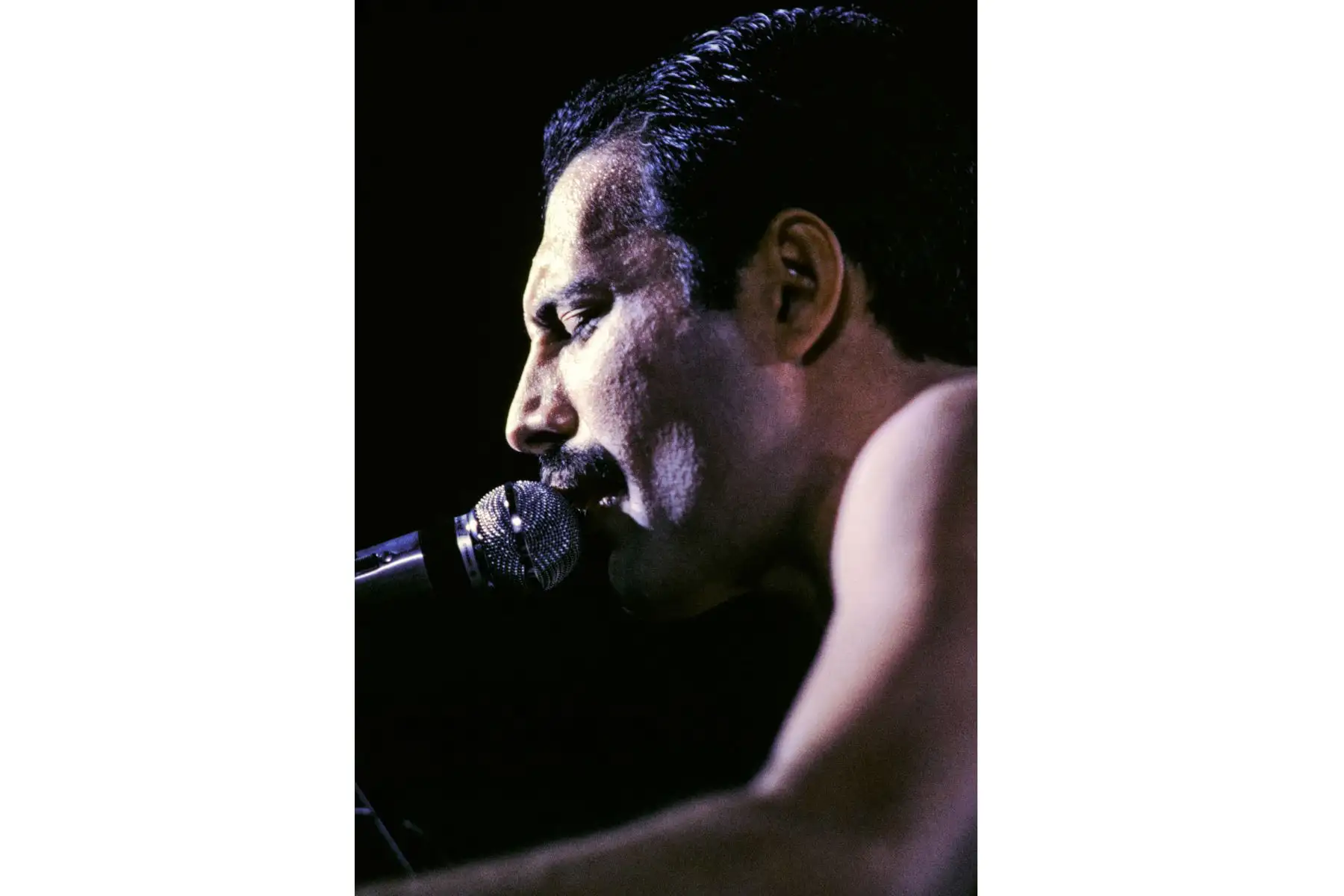 La estrella de rock británica Freddie Mercury, cantante de la banda de rock "Queen" actúa en el escenario durante un concierto en el Palais Omnisports de Paris Bercy (POPB) el 18 de septiembre de 1984.
Foto: AFP