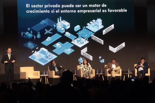 CADE 2024: CADE 2024: El sector privado puede ser un motor de crecimiento