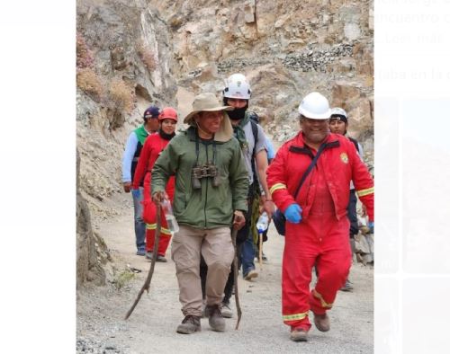 La Policía Nacional de Tacna pudo hallar rápidamente a los dos biólogos que se encontraban extraviados en un paraje alejado de la zona andina de esa región cuando realizaban un censo poblacional de guanacos.. ANDINA/Difusión