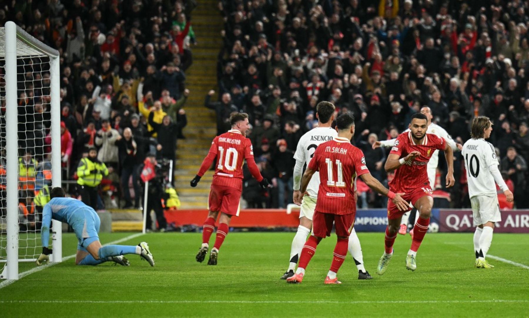 El delantero holandés del Liverpool, Cody Gakpo, celebra el segundo gol de su equipo durante el partido de fútbol de la UEFA Champions League entre el Liverpool y el Real Madrid en Anfield en Liverpool, Inglaterra, el 27 de noviembre de 2024.  Foto: AFP