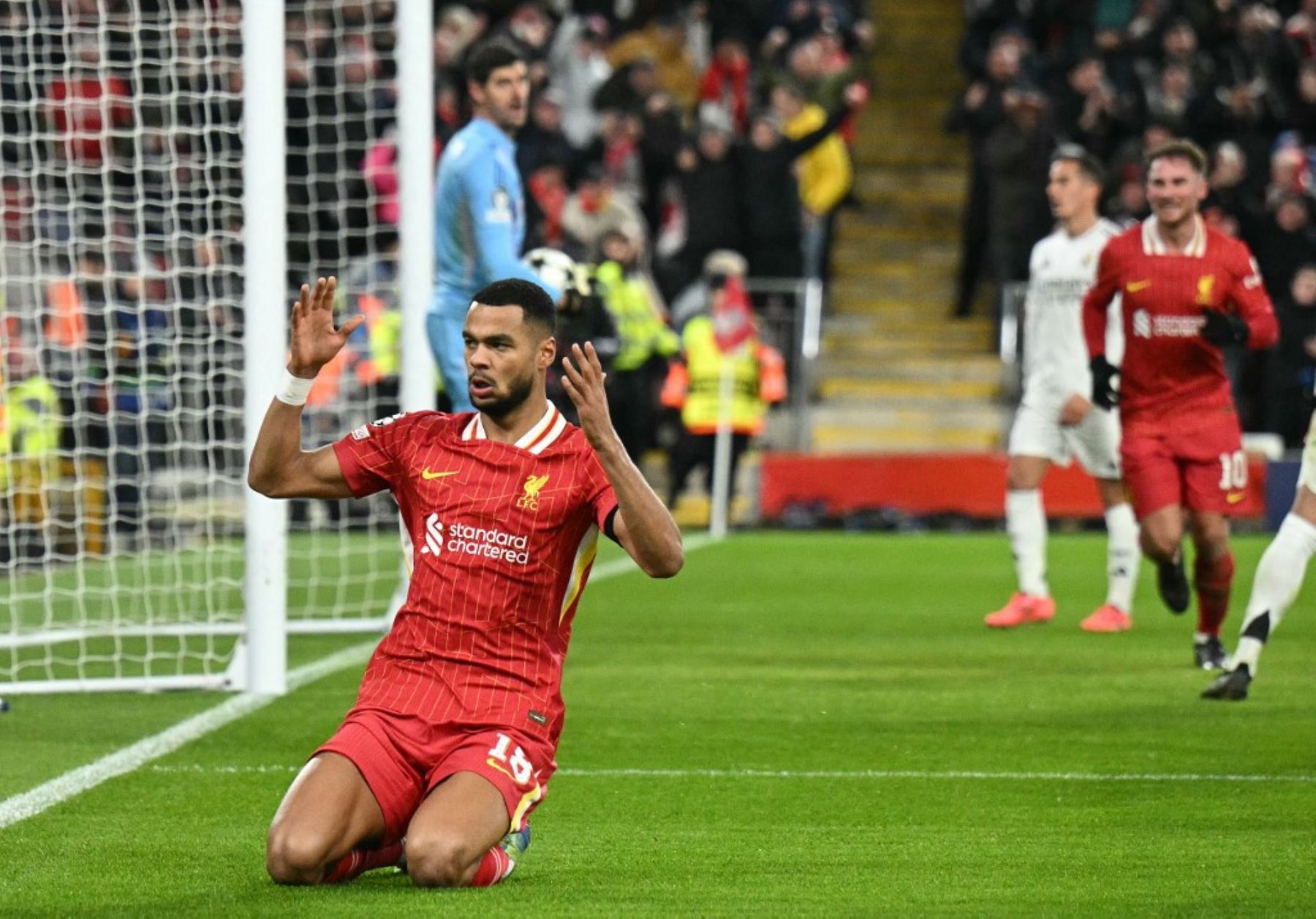 El delantero holandés del Liverpool, Cody Gakpo, celebra el segundo gol de su equipo durante el partido de fútbol de la UEFA Champions League entre el Liverpool y el Real Madrid en Anfield en Liverpool, Inglaterra, el 27 de noviembre de 2024. Foto: AFP