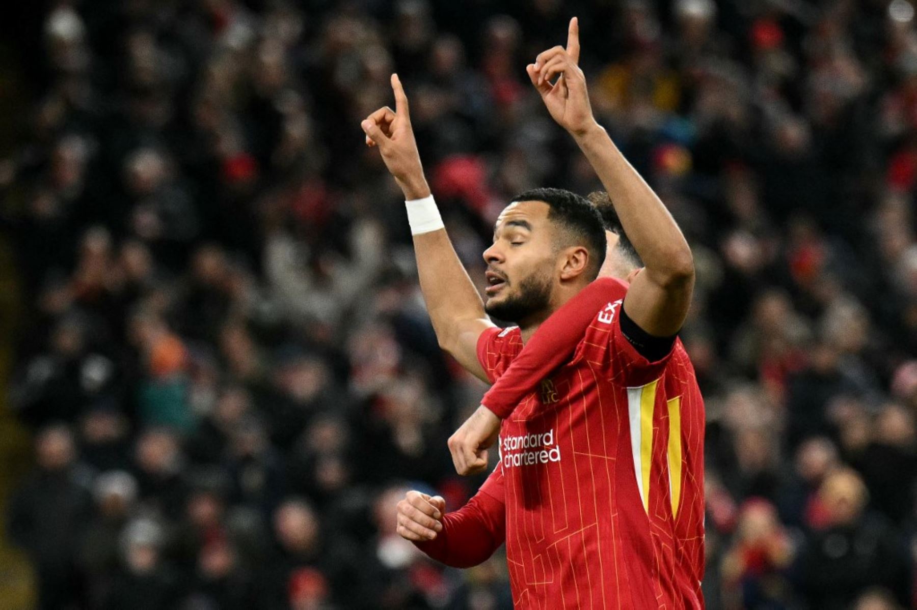 El delantero holandés del Liverpool, Cody Gakpo, celebra el segundo gol del equipo durante el partido de fútbol de la UEFA Champions League entre el Liverpool y el Real Madrid en Anfield en Liverpool,  Inglaterra, el 27 de noviembre de 2024. Foto: AFP