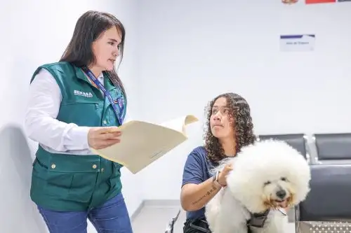 Senasa agiliza certificación para viajes de mascotas fuera del país. Foto: Difusión