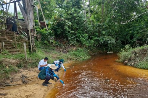 Se están analizando muestras de 34 puntos de monitoreo distribuidos en las provincias de Alto Amazonas, San Martín y Lamas.