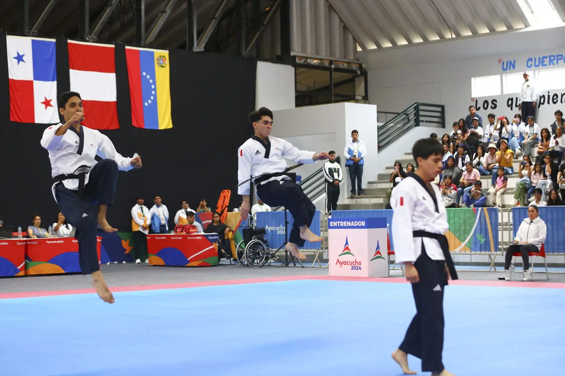 Los taekwondistas peruanos José Joaquín Carrasco, Mateo Sebastián Argomedo y Sebastián Andrés Guzmán conquistaron la medalla de oro en la competencia de taekwondo de los Juegos Bolivarianos Bicentenario Ayacucho 2024, enfrentándose a otros 4 países en la final de la categoría team freestyle masculino, desde el coliseo del colegio Mariscal Cáceres de Huamanga. Foto: ANDINA/Eddy Ramos