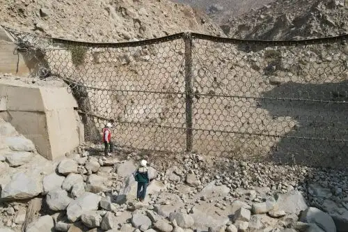 Foto: ANDINA/difusión.