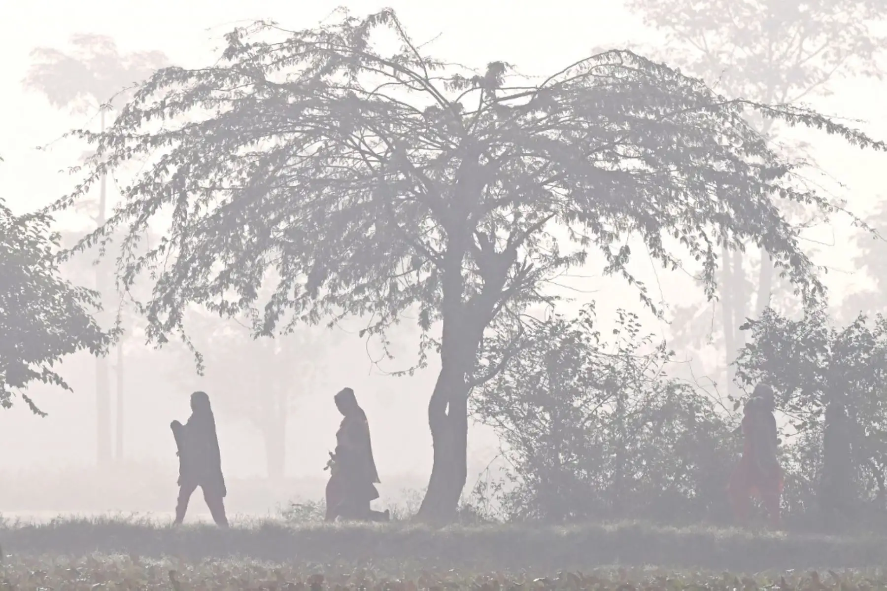 Las mujeres pasan por un campo en medio de un denso smog en las afueras de Lahore el 29 de noviembre de 2024. (Foto de Arif ALI / AFP)