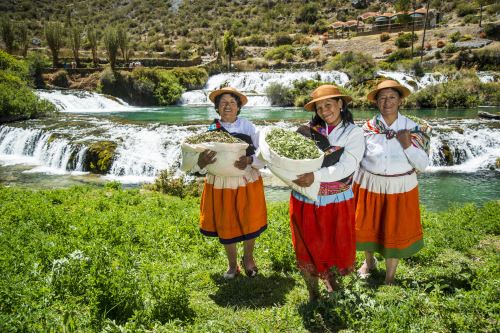 ¡Huancaya está de moda! Destino ubicado en sierra de Lima fue declarado Pueblo con Encanto