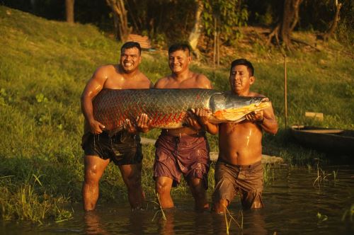 El paiche ha logrado posicionarse como un producto infaltable en la gastronomía peruana. Foto: Cortesía.