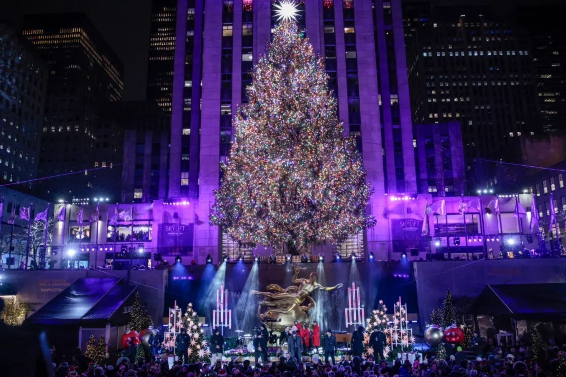 El árbol, que este año mide 22 metros y pesa once toneladas, procede del estado de Massachusetts. Foto: Telemundo 47