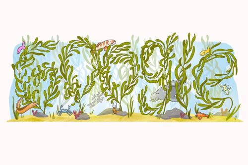 Conoce más del nuevo doodle de Google