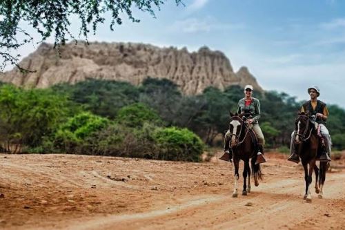 El santuario histórico Bosque de Pómac está ubicado en la región Lambayeque.