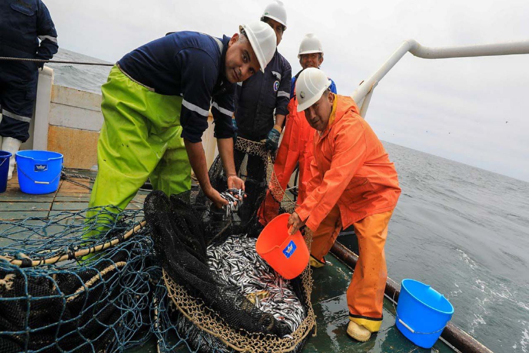 El Instituto del Mar del Perú (Imarpe) realizará la actualización de la situación de la anchoveta en el mar peruano.   ANDINA/Difusión