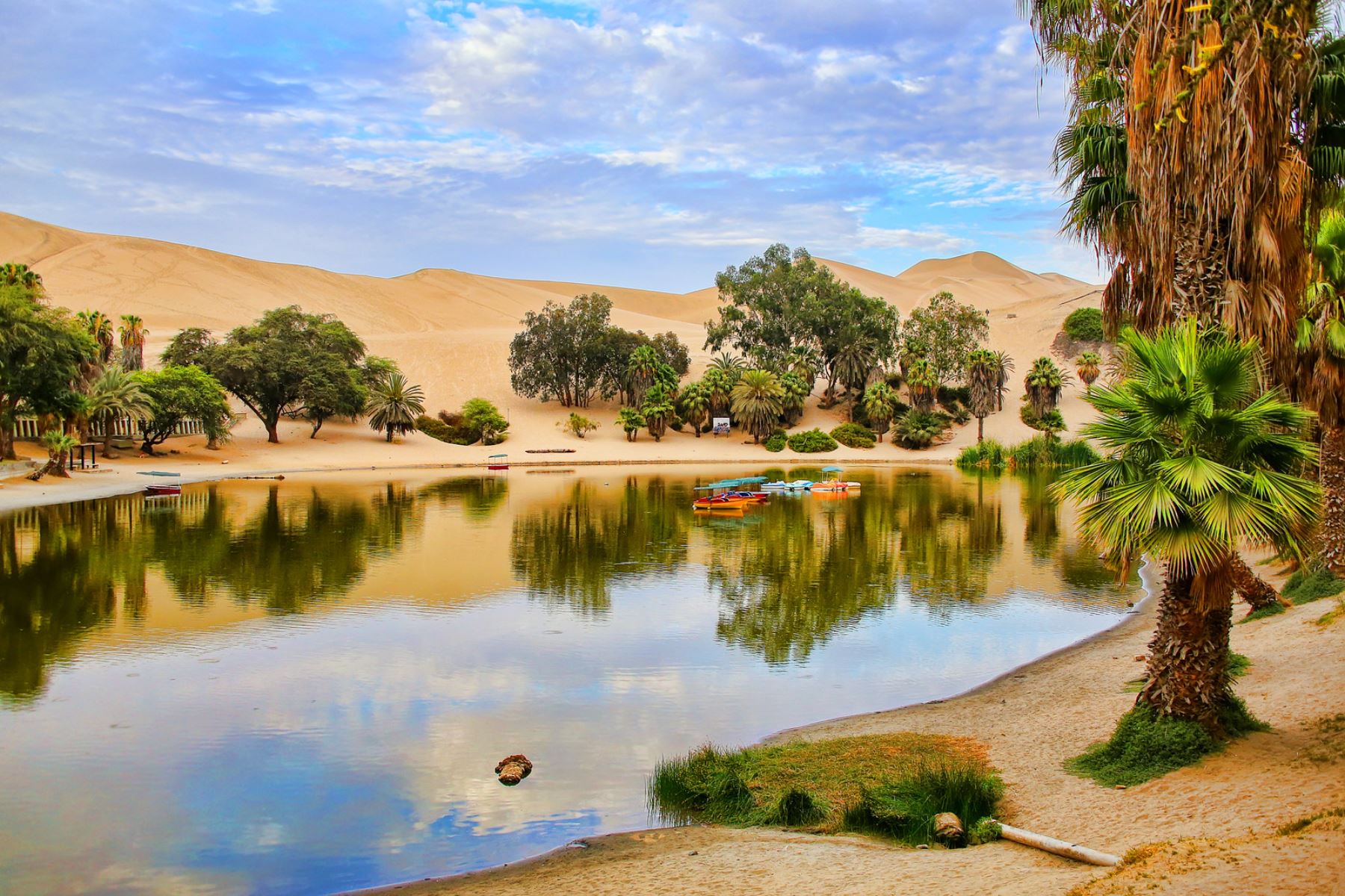 El oasis de Huacachina, ubicado en medio del desierto de Ica, es un destino excepcional que atrae a los turistas nacionales y extranjeros. ANDINA/Difusión