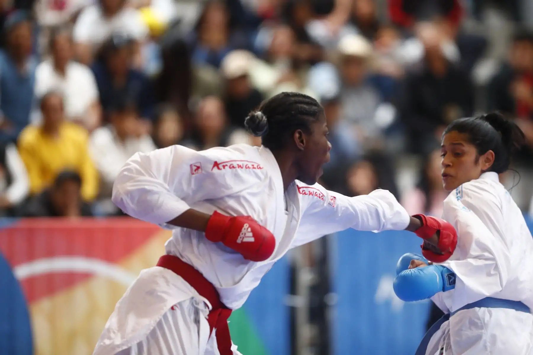 Así fue la participación de Perú en el torneo de karate de los Juegos Bolivarianos Bicentenario Ayacucho 2024, en el coliseo del colegio Mariscal Cáceres de Huamanga, en la que nuestra peleadora Sol Karina Cabrera se enfrentó a las representantes de Guatemala, República Dominicana y Chile por la categoría 61kg femenina. Foto: ANDINA/Daniel Bracamonte