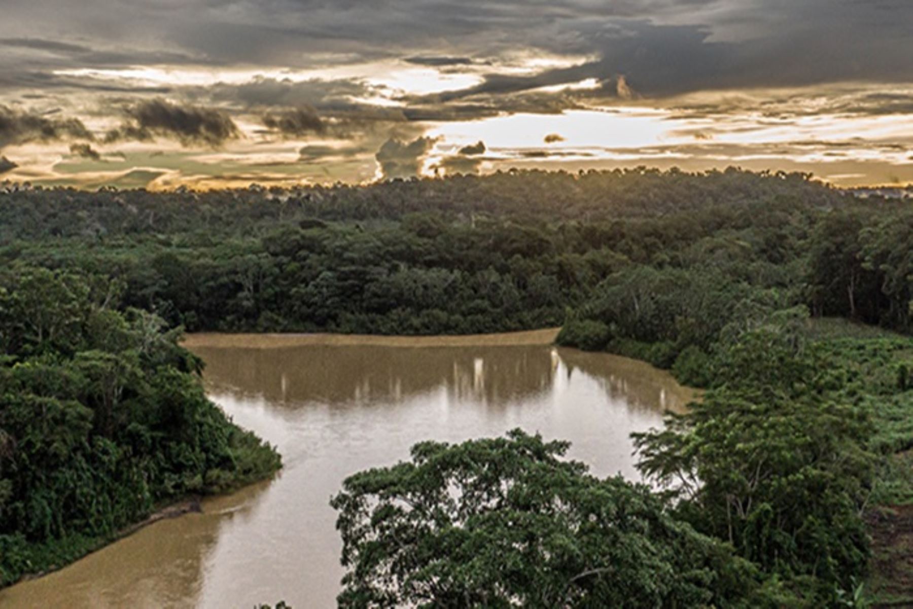 El Consejo de la Organización de las Naciones Unidas para la Alimentación y la Agricultura (FAO), anunció que el Perú será el país anfitrión del XVI Congreso Forestal Mundial, a celebrarse en 2027.