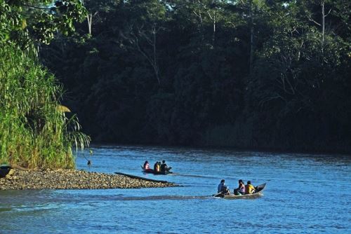 estudio reciente del Centro de Estudios sobre Minería y Sostenibilidad (CEMS) de la Universidad del Pacífico, pone en evidencia el riesgo en que está la Reserva Comunal El Sira -ubicada entre las regiones de Huánuco, Pasco y Ucayali- ante el avance de la minería ilegal y los cultivos de hoja de coca.