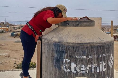 En la provincia de Santa, las brigadas de salud han identificado 134 viviendas con presencia de Aedes aegypti en los distritos de Coishco y Santa.