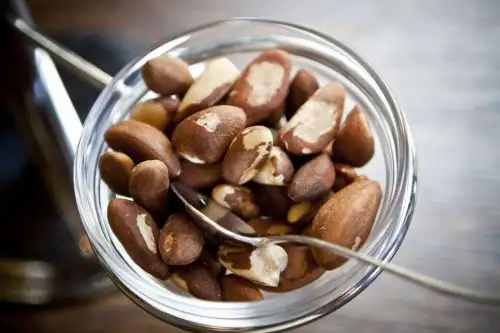 La castaña se ha convertido en un importante producto para Madre de Dios que permitirá el desarrollo sostenible de esta región.ANDINA/Difusión